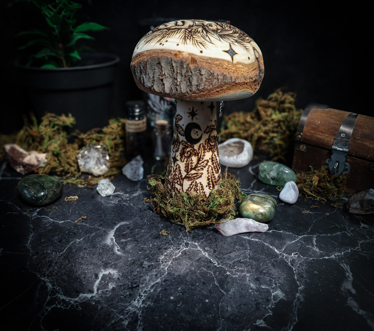 Mushrooms of Slumberland Wood