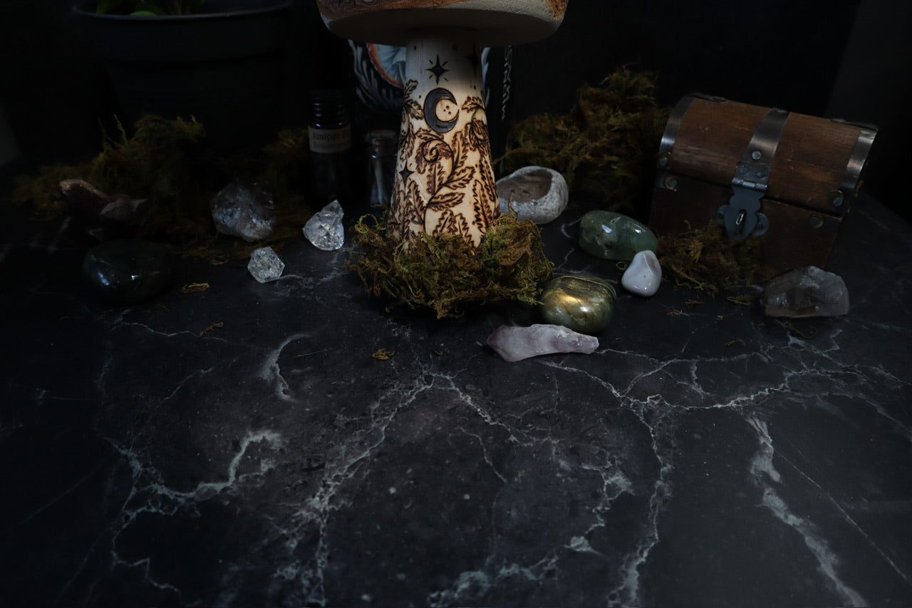 Mushrooms of Slumberland Wood