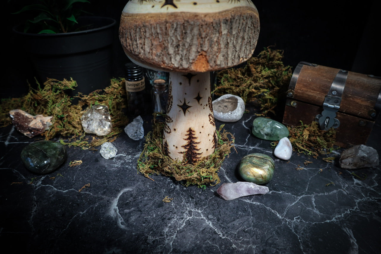 Mushrooms of Slumberland Wood