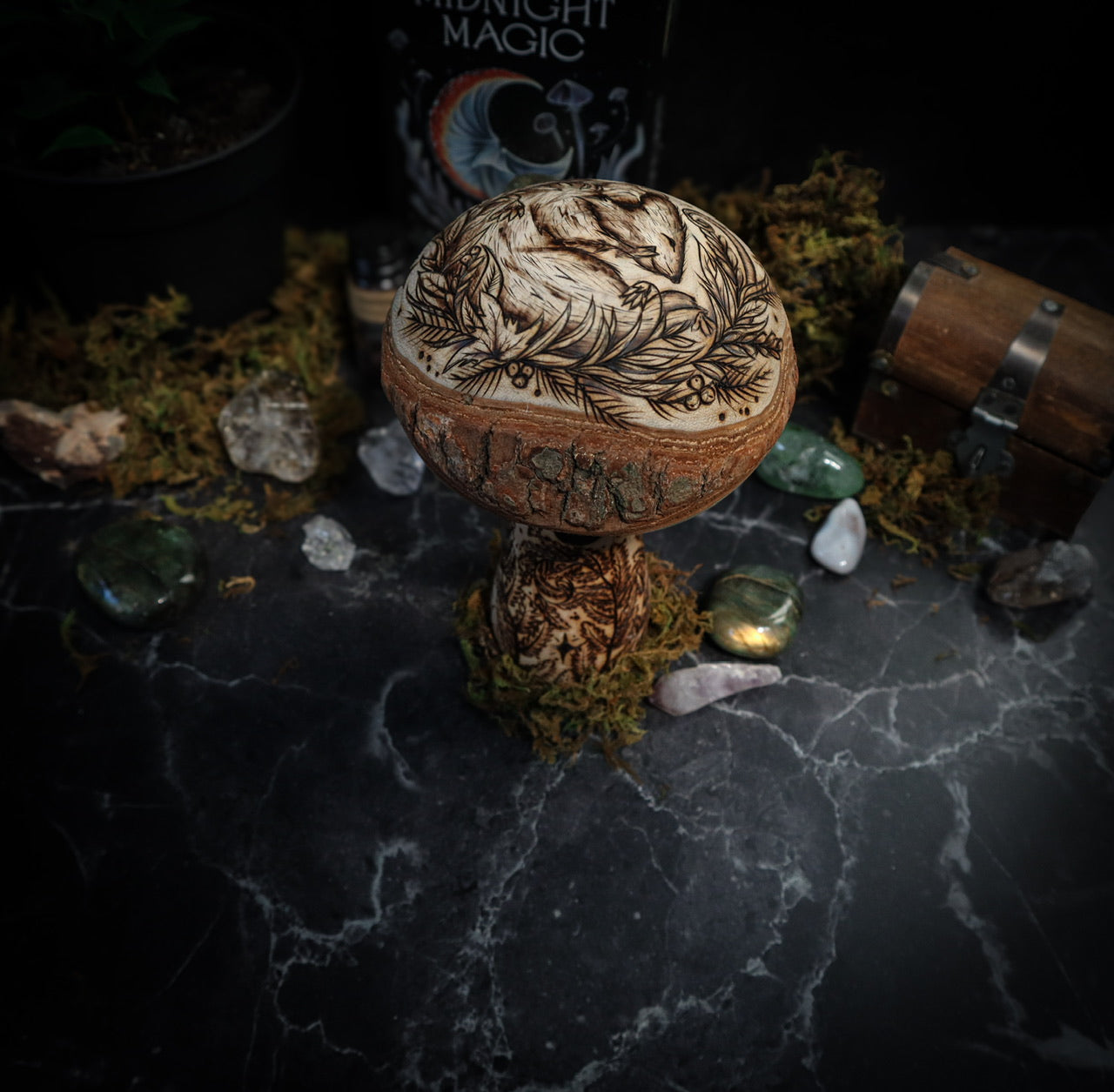 Mushrooms of Slumberland Wood