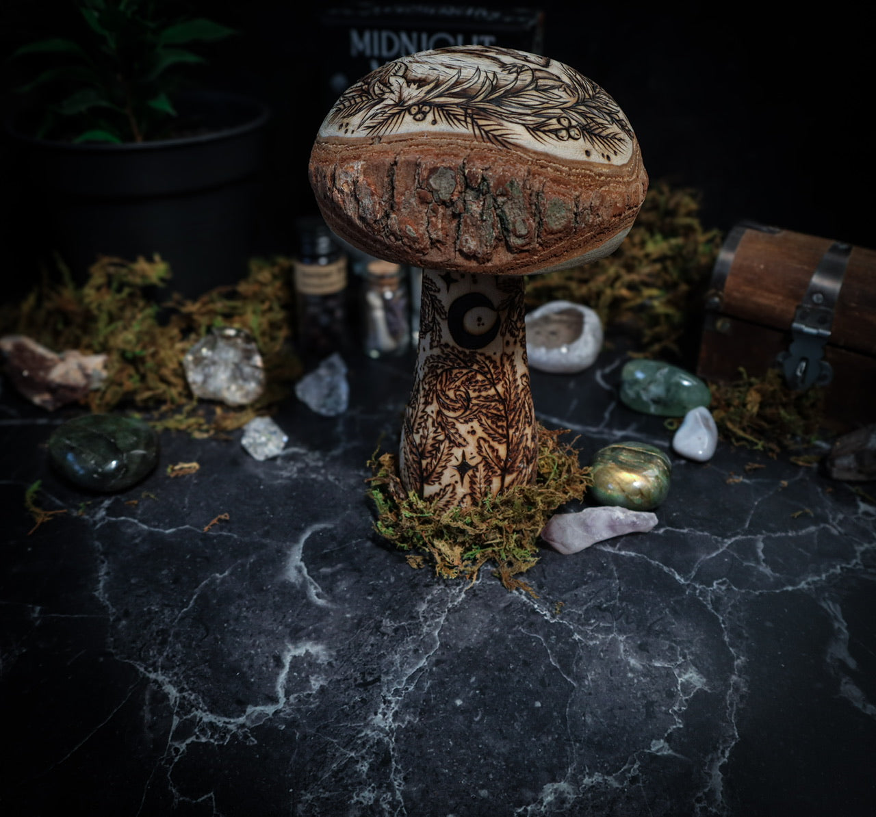 Mushrooms of Slumberland Wood