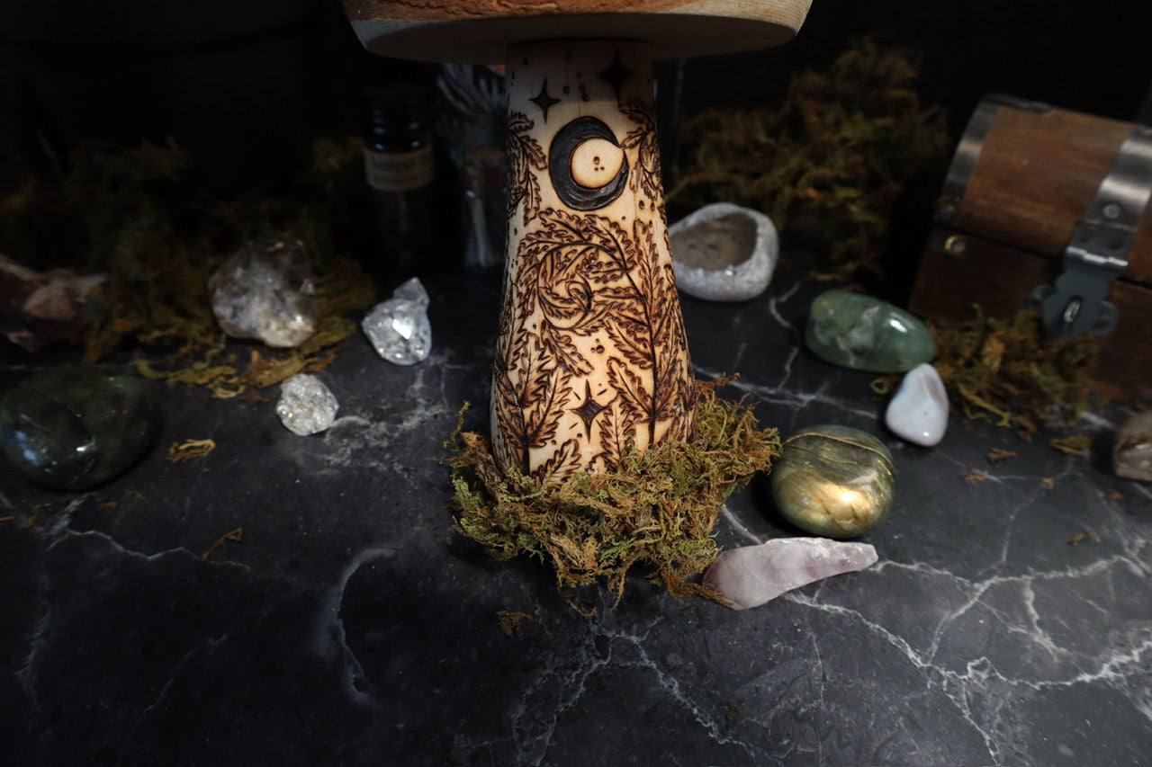 Mushrooms of Slumberland Wood